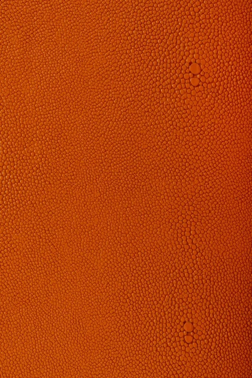 Box Noah Orange (3/Set)