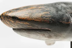 Deko Figur Shark Base 59cm