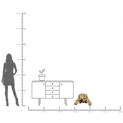 Deko Figur Turtle Gold Groß