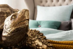 Deko Figur Turtle Gold Groß