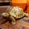 Deko Figur Turtle Gold Klein