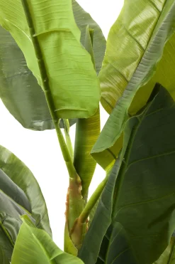 Deko Pflanze Banana Tree 180cm