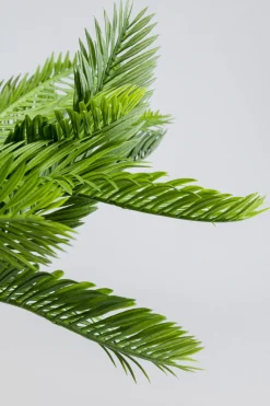 Deko Pflanze Cycas 70cm