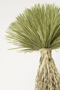 Deko Pflanze Yucca Rostrata 240cm