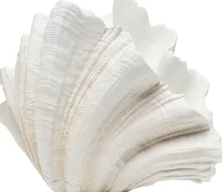 Deko Vase Concha 57cm