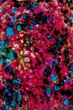 Gerahmtes Bild Wild Berries 205x125cm