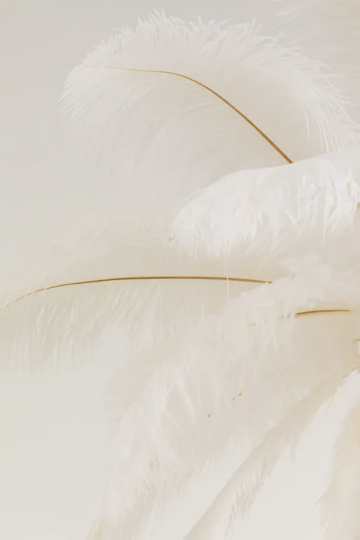 Hängeleuchte Feather Palm Weiß Ø87cm