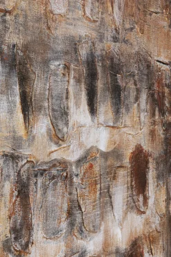 Leinwandbild Shadows Braun 90x120cm