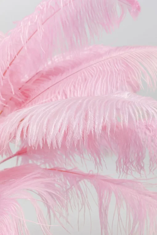 Stehleuchte Feather Palm Pink 165cm