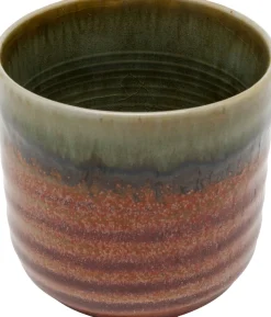 Tasse Ari
