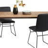 Tisch Phoenix 100x220cm