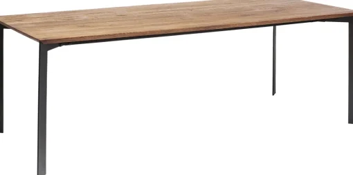 Tisch Phoenix 100x220cm