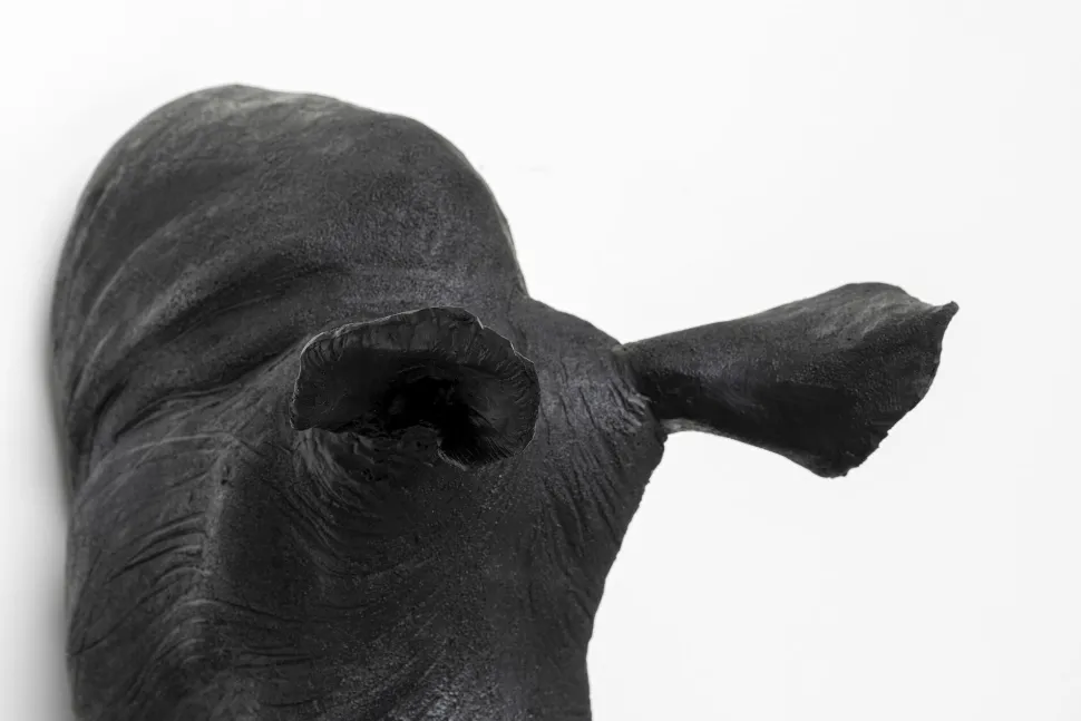 Wandobjekt Rhino Head Antique Schwarz 22x43cm