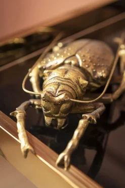 Wandschmuck Longicorn Beetle Gold